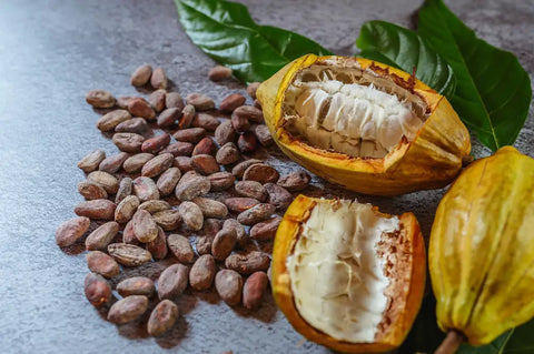 Nibs de Cacao: Beneficios, Proceso y Propiedades Nutricionales