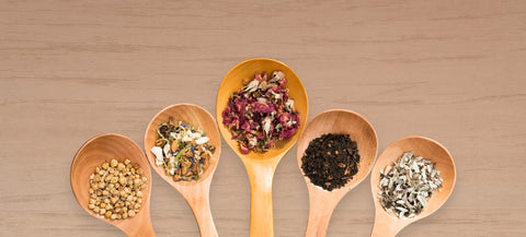 Descubre nuestras infusiones naturales