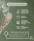 Antorcha salvia blanca natural