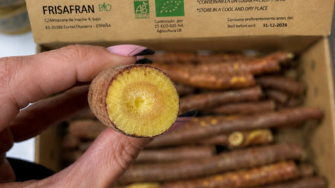 Compra regaliz de palo