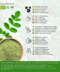 Beneficios de la moringa en polvo ecológica
