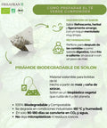 Pirámide de té verde gunpower