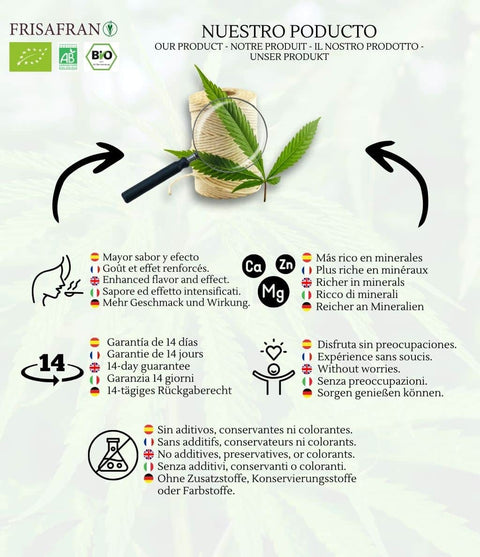 proteína de cáñamo en polvo 