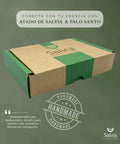caja de manojo de salvia blanca con palo santo 