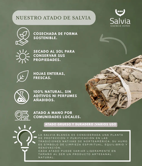 información de nuestro atado de salvia blanca 