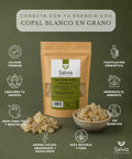 Información sobre resina de copal blanco en grano