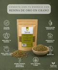 Información sobre la resina oro en grano para incienso