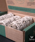 pack de salvia blanca para casa 