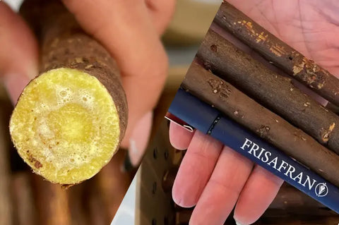 Regaliz de plo fresco y grueso, producto de frisafran