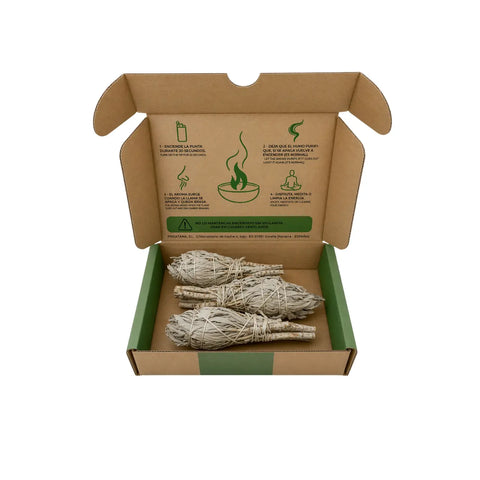 Salvia blanca en forma de antorcha
