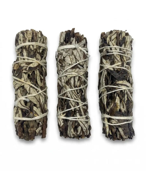 Atado de yerba santa